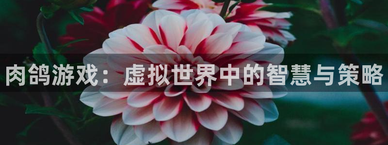 沐鸣2官网平台
