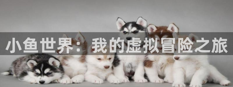 沐鸣2官网：小鱼世界：我的虚拟冒险之旅
