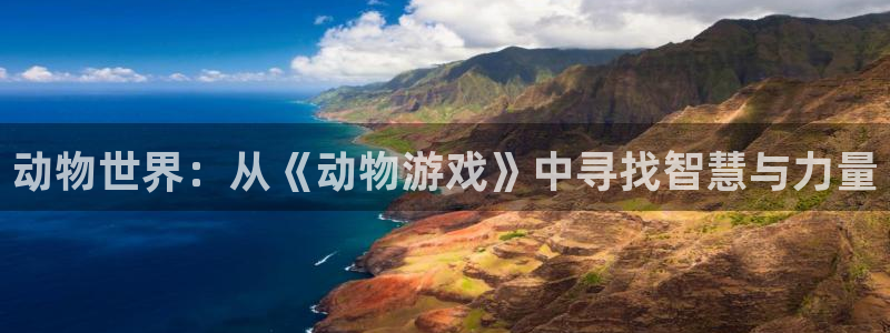 沐鸣2登录步骤：动物世界：从《动物游戏》中寻找智慧与力量