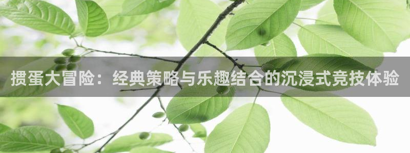 沐鸣2app：掼蛋大冒险：经典策略与乐趣结合的沉浸式竞技体验