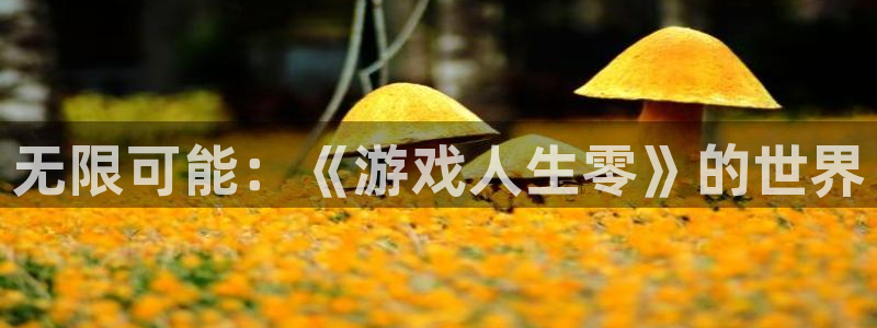 沐鸣2娱乐登录测速