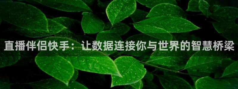 鲸鱼体育下载官方正版：直播伴侣快手：让数据连接你与世界的智慧桥梁