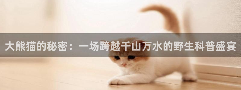 鲸鱼体育tv：大熊猫的秘密：一场跨越千山万水的野生科普盛宴