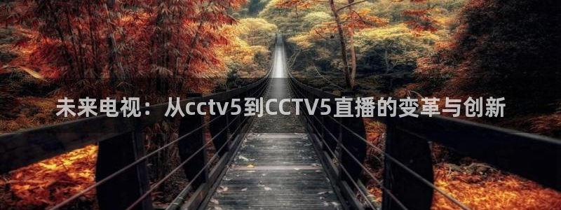 cc67tv鲸鱼体育：未来电视：从cctv5到CCTV5直播的变革与创新