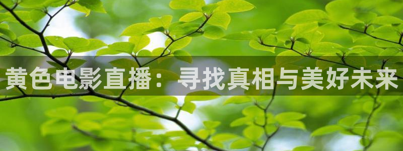 nba鲸鱼体育：黄色电影直播：寻找真相与美好未来